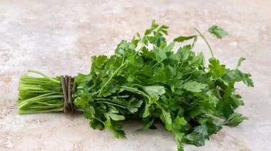 garnishing-instructions-image